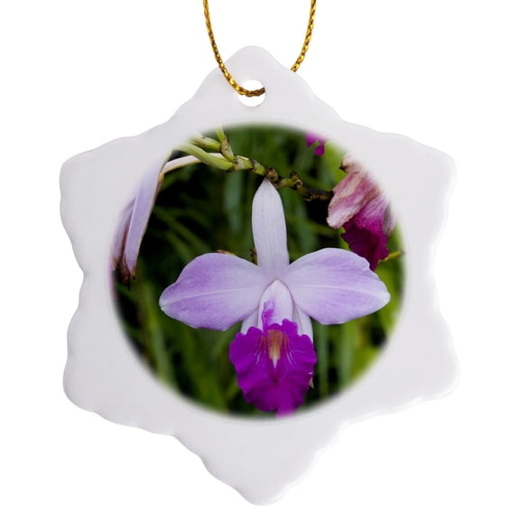 3drose, Martinique, West Indies. Bamboo Orchid, Balata Garden-ca23 Ssm0278 - Scott T. Smith, 3 inch Snowflake Porcelain Ornament