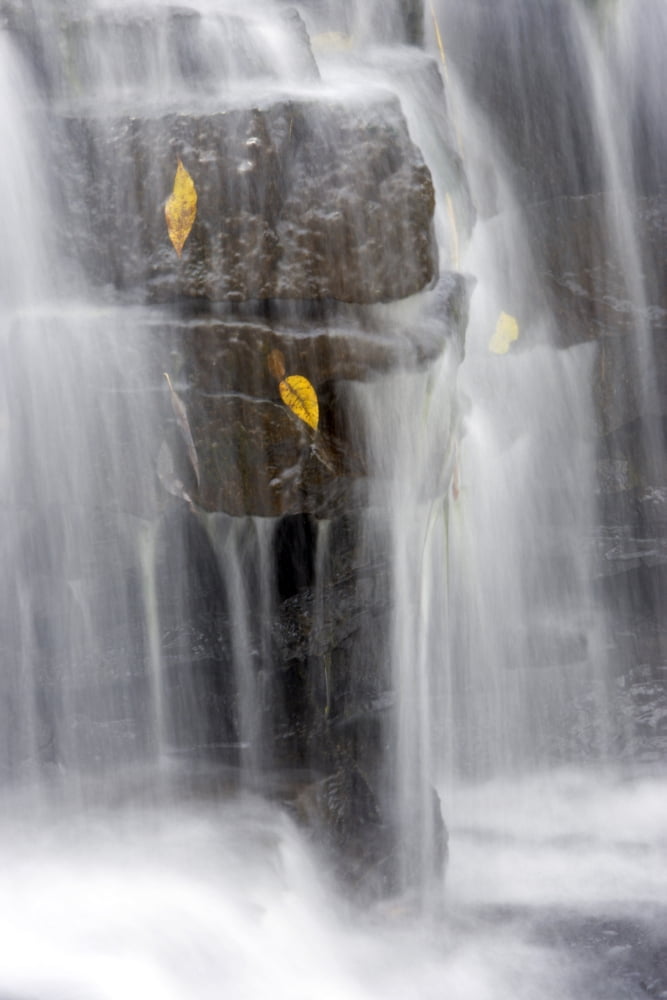 Martins Falls Near Rockway Ontario Canvas Art - Darwin Wiggett Design Pics (22 x 34)