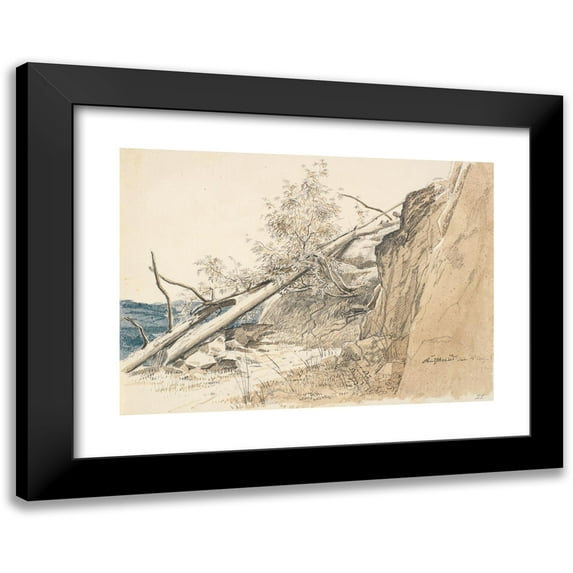 Martinus Rørbye 24x18 Black Modern Framed Museum Art Print Titled - Tree Trunk Leaning Against a Rock. Norway (1830)
