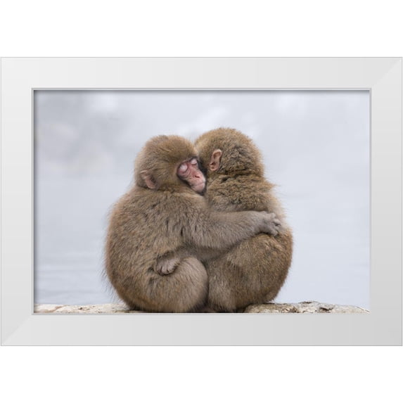 Marumoto, Takeshi 24x17 White Modern Wood Framed Museum Art Print Titled - Forever Friends