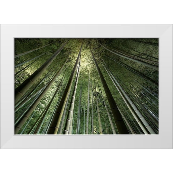 Marumoto, Takeshi 32x23 White Modern Wood Framed Museum Art Print Titled - Bamboo Night