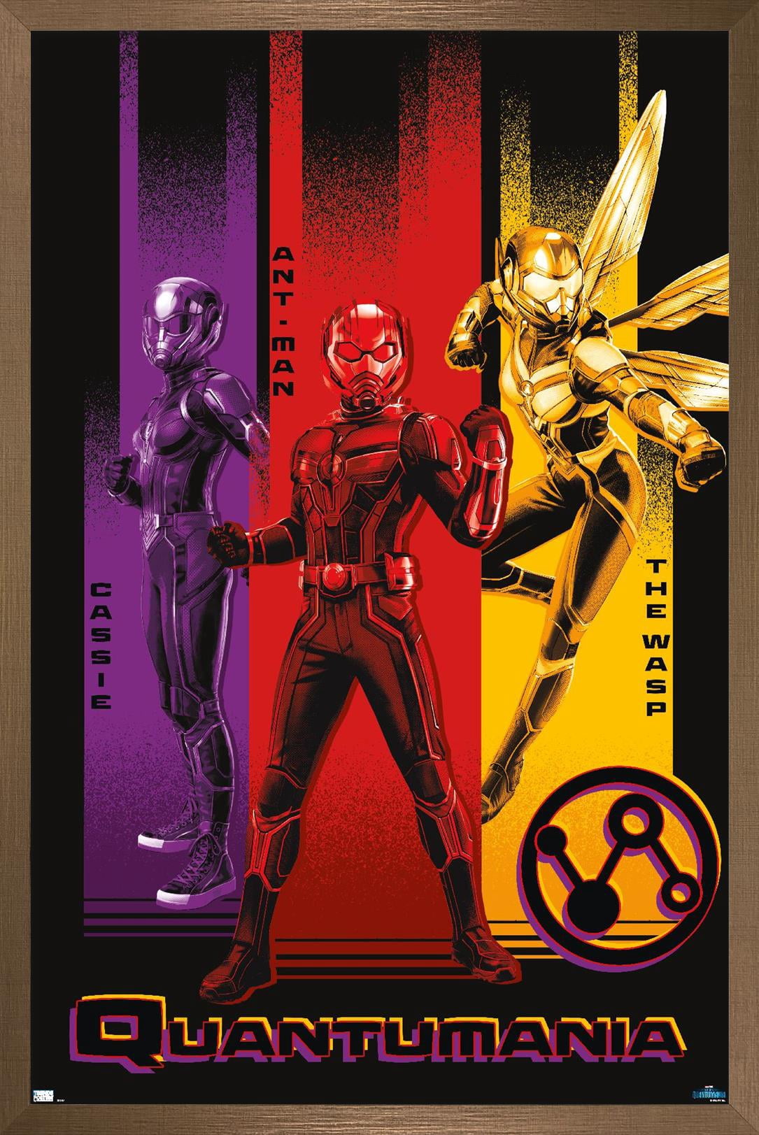 Marvel Ant-Man And The Wasp: Quantumania - Trio Wall Poster, 14.725" x 22.375" Framed