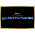 thumbnail image 1 of Marvel Ant-Man and the Wasp: Quantumania - Logo Wall Poster, 14.725" x 22.375", Framed, 1 of 3