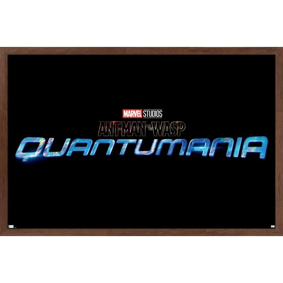 Marvel Ant-Man and the Wasp: Quantumania - Logo Wall Poster, 22.375" x 34", Framed