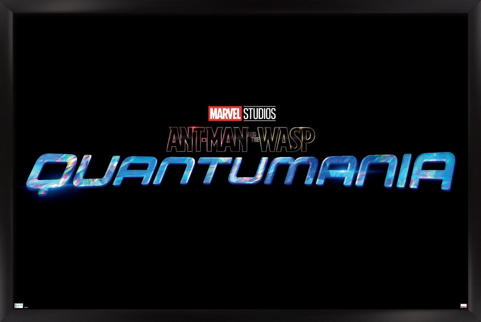 Ant-Man and The Wasp Quantumania