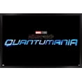 thumbnail image 1 of Marvel Ant-Man and the Wasp: Quantumania - Logo Wall Poster, 22.375" x 34", Framed, 1 of 3