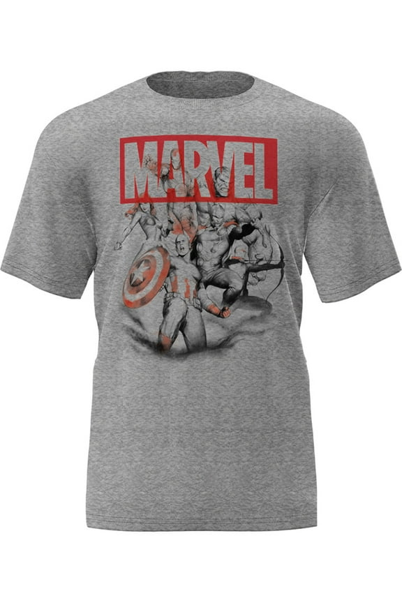 Avengers Gray Adult Unisex Tee Shirt, XS-XL