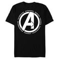 thumbnail image 1 of Marvel Avengers: Endgame Logo Heroes and Legends - Short Sleeve Blended T-Shirt for Adults - Customized-Black, 1 of 5