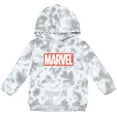thumbnail image 1 of Marvel Avengers Fleece Pullover Hoodie Tie Dye Toddler to Big Kid, 1 of 5