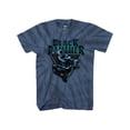 thumbnail image 1 of Marvel Big Boys' Black Panther Spiral Wash T-Shirt, Sizes 8-20, 1 of 3