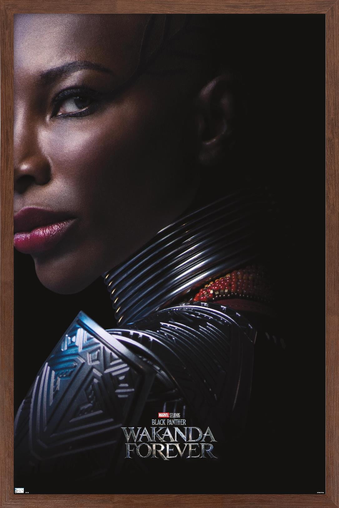 Marvel Black Panther: Wakanda Forever - Aneka One Sheet Wall Poster, 14.725" x 22.375" Framed