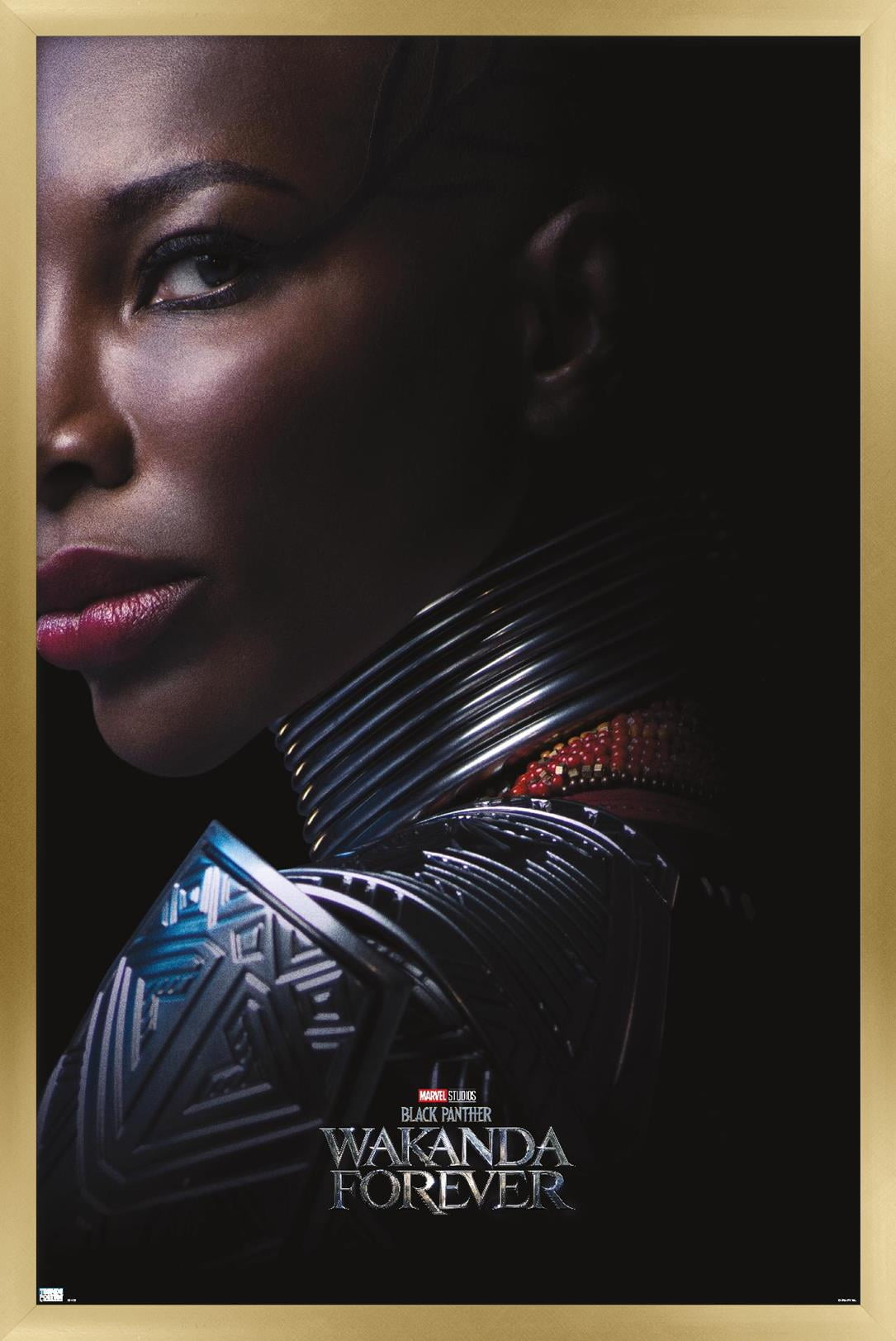 Marvel Black Panther: Wakanda Forever - Aneka One Sheet Wall Poster, 22.375" x 34" Framed