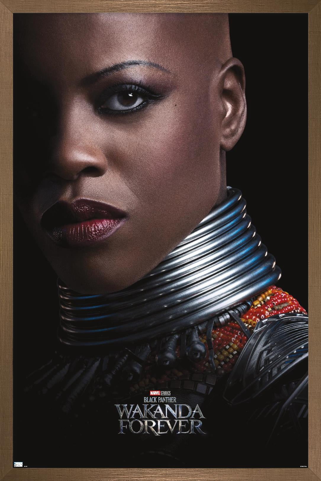 Marvel Black Panther: Wakanda Forever - Ayo One Sheet Wall Poster, 14.725" x 22.375" Framed