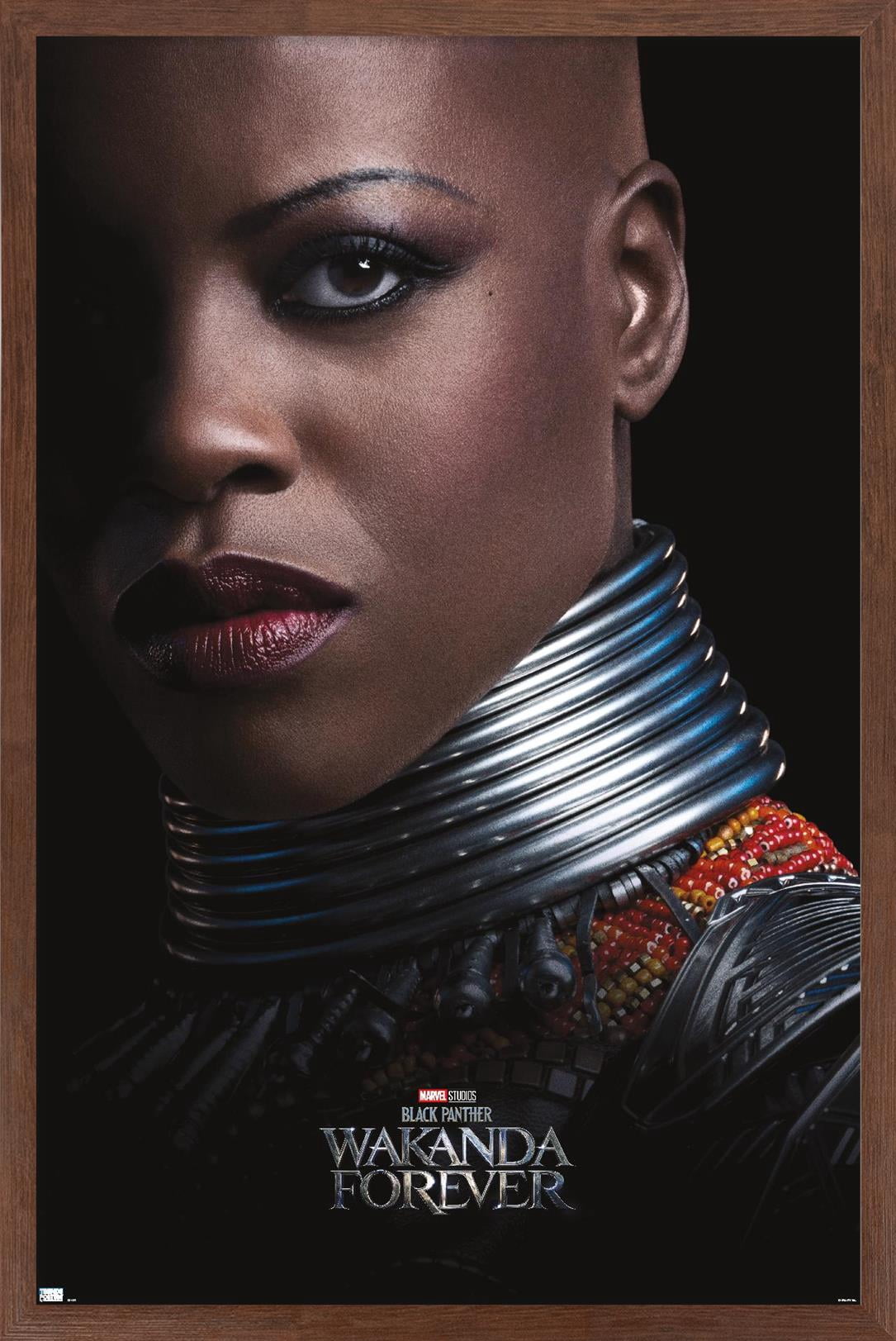 Marvel Black Panther: Wakanda Forever - Ayo One Sheet Wall Poster, 22.375" x 34" Framed
