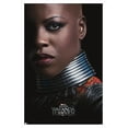 thumbnail image 1 of Marvel Black Panther: Wakanda Forever - Ayo One Sheet Wall Poster, 22.375" x 34" Framed, 1 of 6