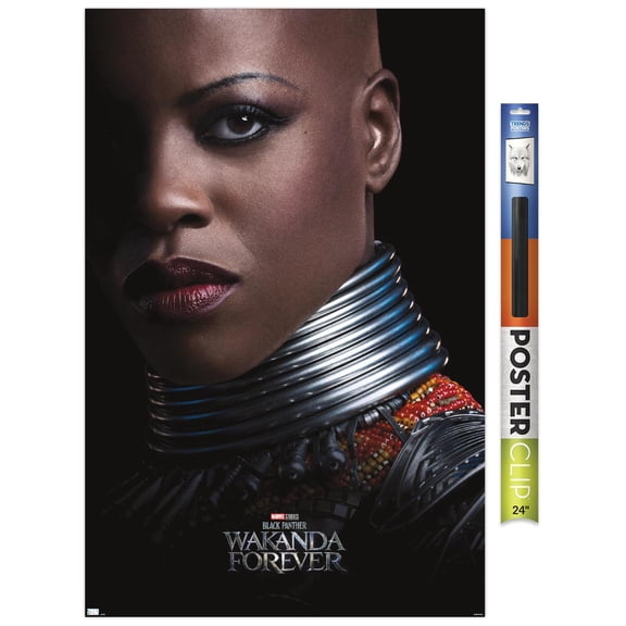 Marvel Black Panther: Wakanda Forever - Ayo One Sheet Wall Poster, 22.375" x 34"