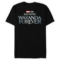 thumbnail image 1 of Marvel Black Panther: Wakanda Forever Theatrical Logo - Short Sleeve Blended T-Shirt for Adults - Customized-Black, 1 of 5
