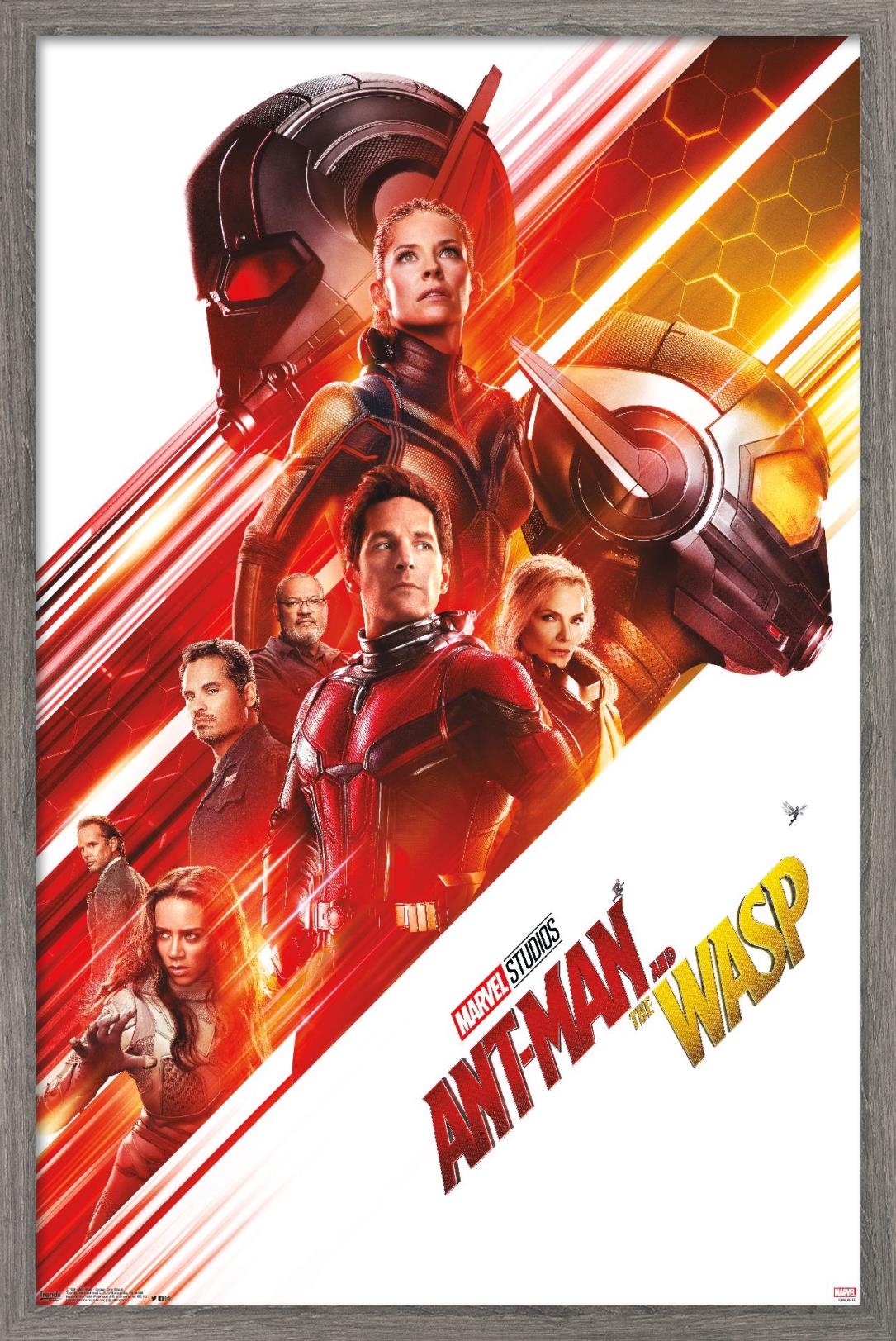 Marvel Cinematic Universe - Ant-Man - Group One Sheet Wall Poster, 14.725" x 22.375", Framed