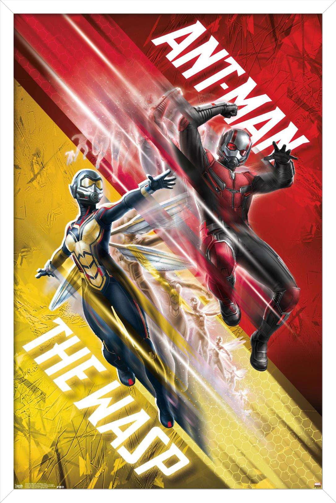 Marvel Cinematic Universe - Ant-Man and the Wasp - Duo Wall Poster, 14.725" x 22.375", Framed