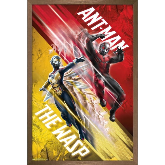 Marvel Cinematic Universe - Ant-Man and the Wasp - Duo Wall Poster, 22.375" x 34", Framed