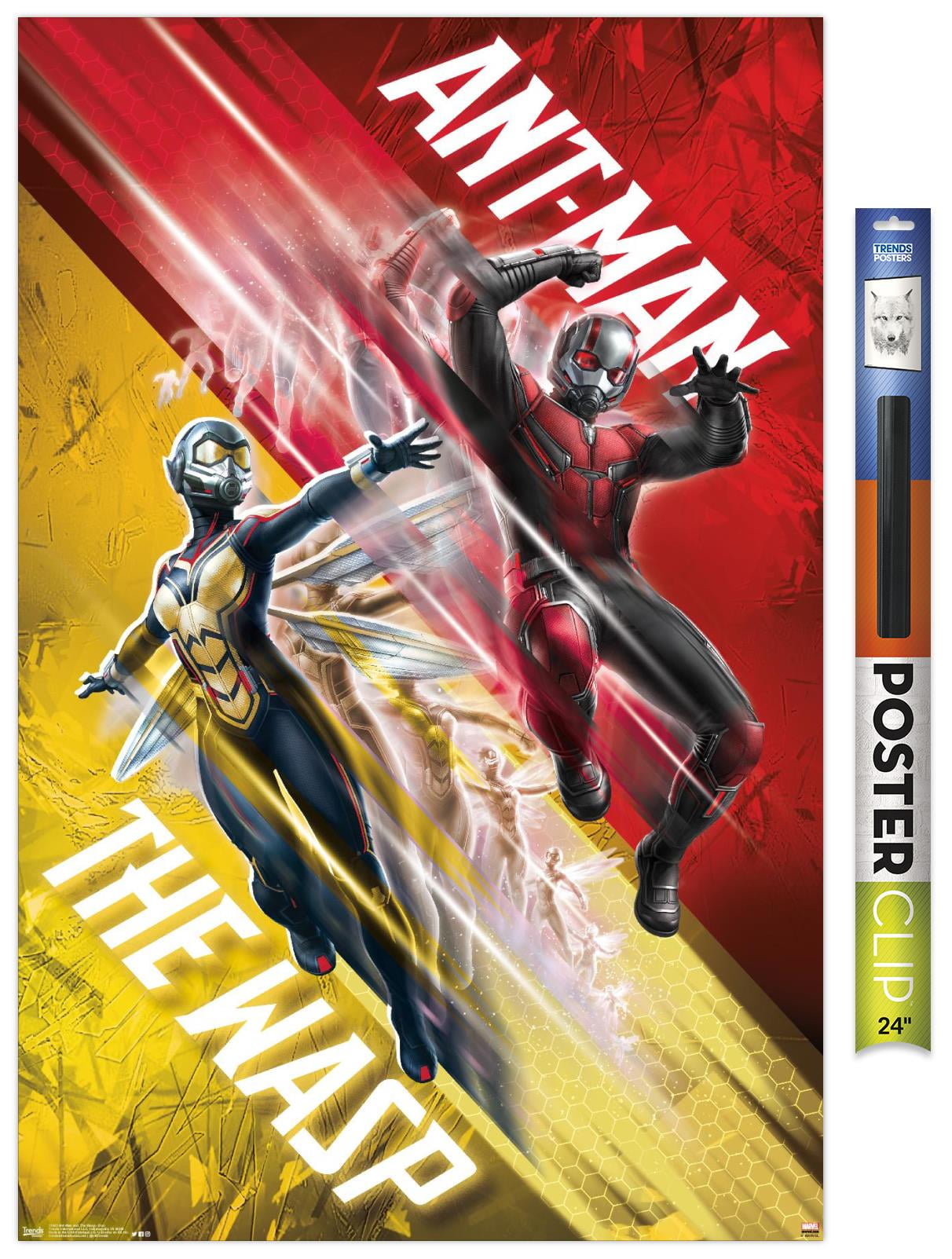 Poster Ant-Man and The Wasp - Dynamic