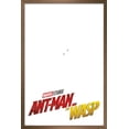thumbnail image 1 of Marvel Cinematic Universe - Ant-Man and the Wasp - One Sheet Wall Poster, 14.725" x 22.375", Framed, 1 of 3