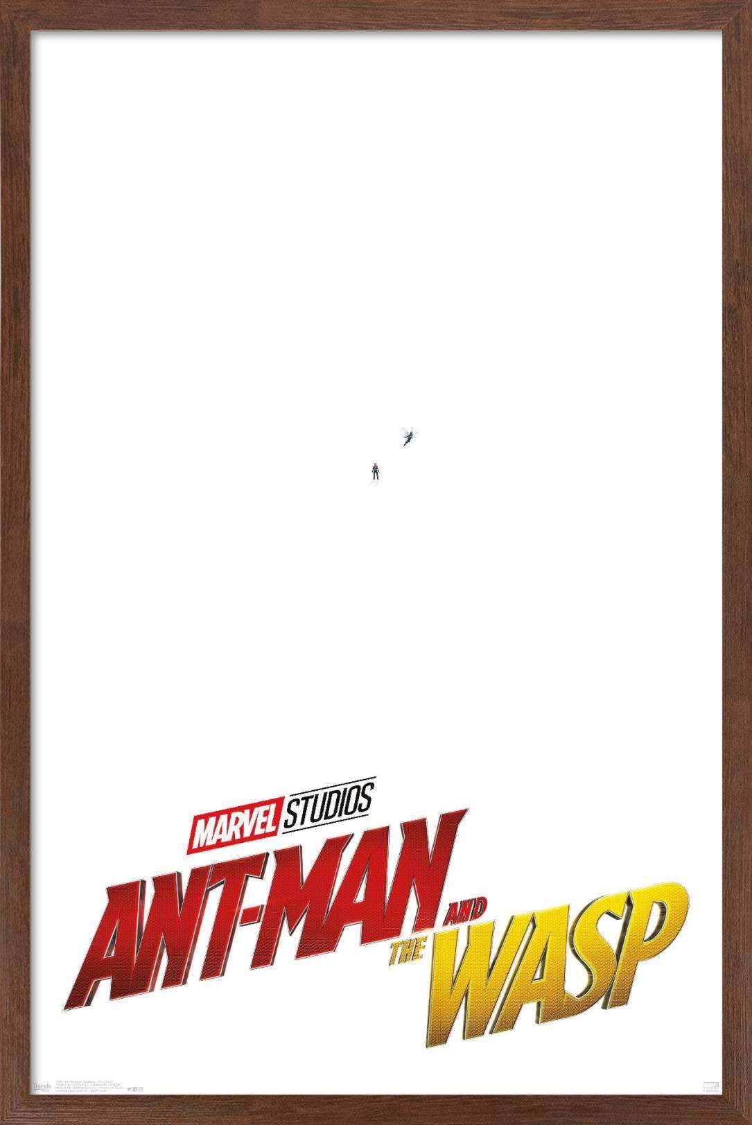 Marvel Cinematic Universe - Ant-Man and the Wasp - One Sheet Wall Poster, 14.725" x 22.375", Framed