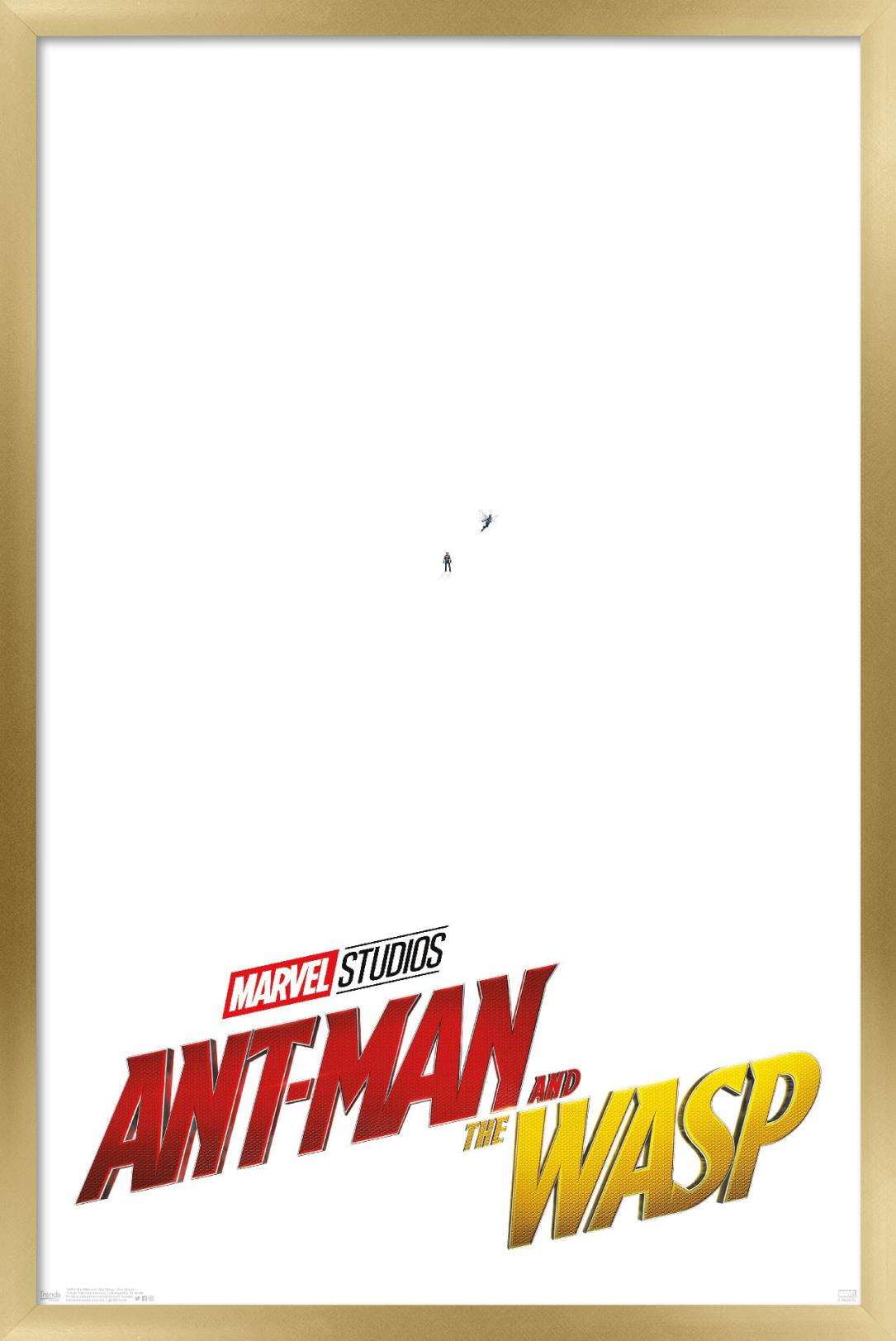 Marvel Cinematic Universe - Ant-Man and the Wasp - One Sheet Wall Poster, 22.375" x 34", Framed