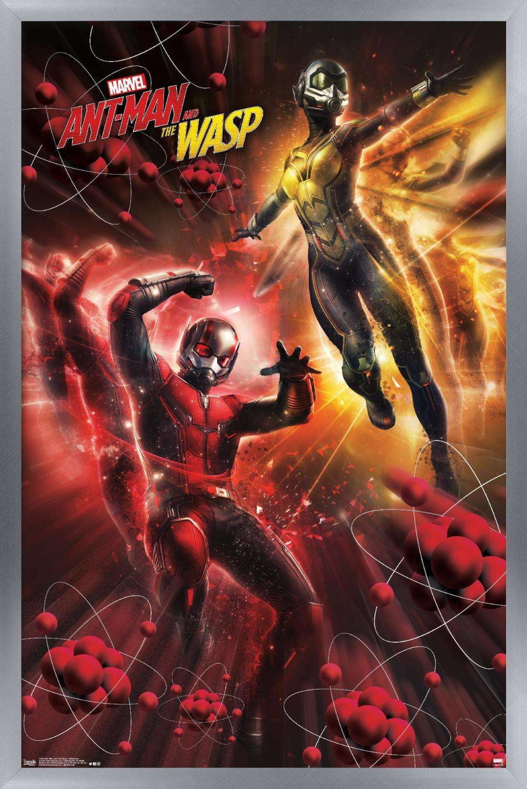 Marvel Cinematic Universe - Ant-Man and the Wasp - Subatomic Wall Poster, 14.725" x 22.375", Framed