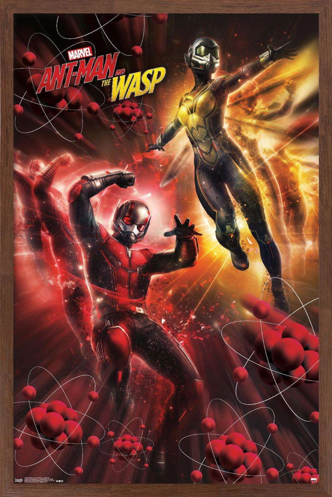 Marvel Cinematic Universe - Ant-Man and the Wasp - Subatomic Wall Poster, 14.725" x 22.375", Framed