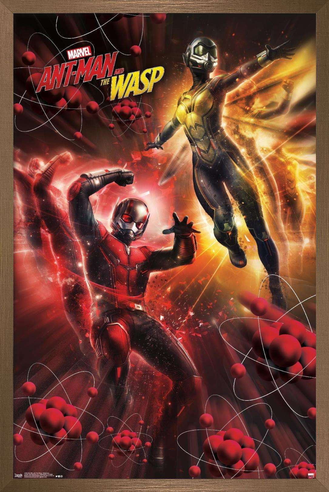 Marvel Cinematic Universe - Ant-Man and the Wasp - Subatomic Wall Poster, 14.725" x 22.375", Framed
