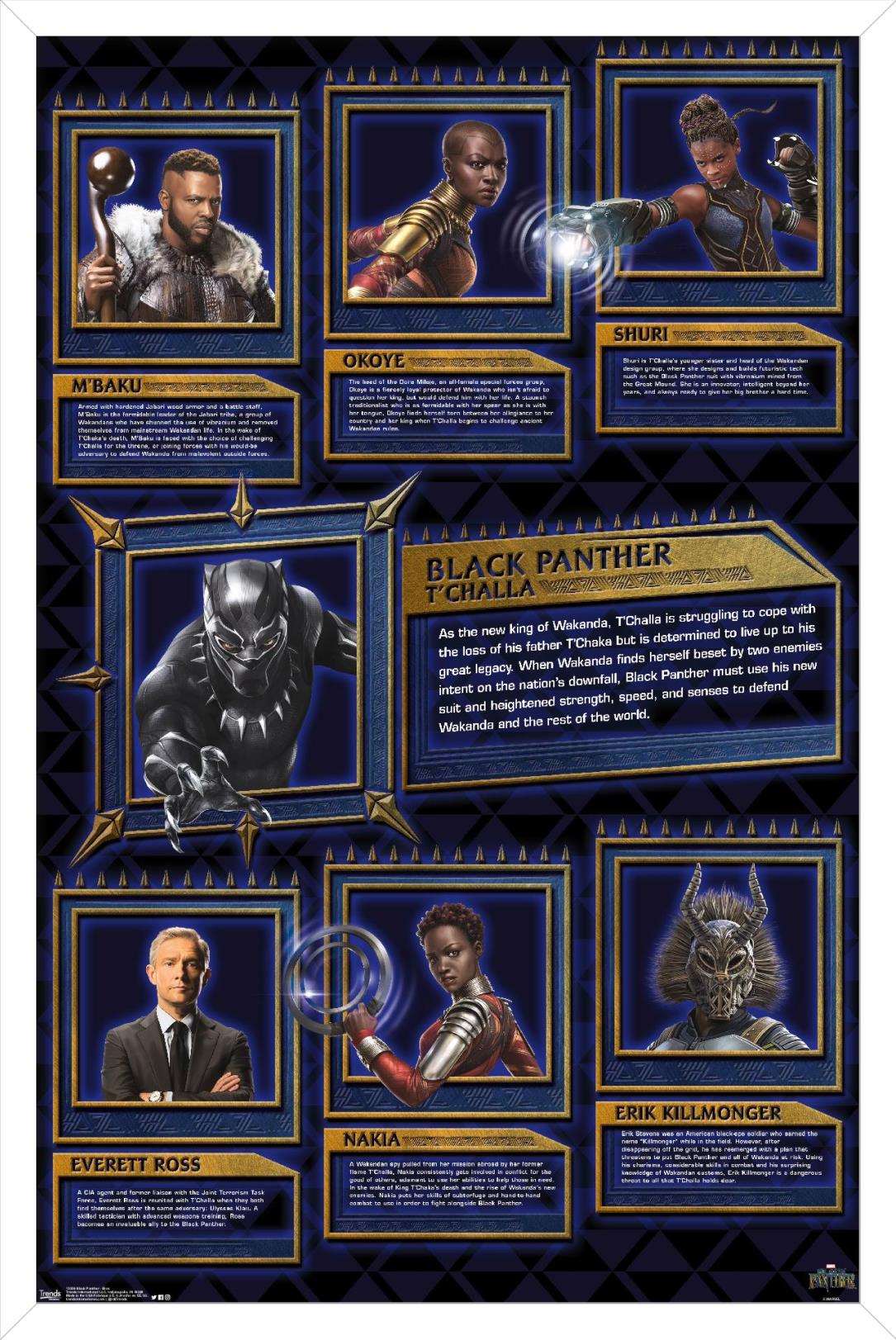 Marvel Cinematic Universe - Black Panther - Bios Wall Poster, 14.725" x 22.375", Framed