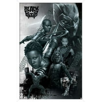 Marvel Cinematic Universe - Black Panther - Group Wall Poster, 14.725" x 22.375", Framed