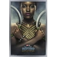 thumbnail image 1 of Marvel Cinematic Universe - Black Panther - Nakia One Sheet Wall Poster, 22.375" x 34", Framed, 1 of 6