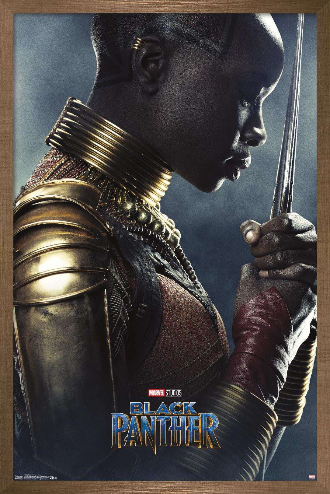 Marvel Cinematic Universe - Black Panther - Okoye One Sheet Wall Poster, 22.375" x 34", Framed