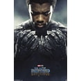 thumbnail image 1 of Marvel Cinematic Universe Black Panther - One Sheet Wall Poster, 14.725" x 22.375", 1 of 3