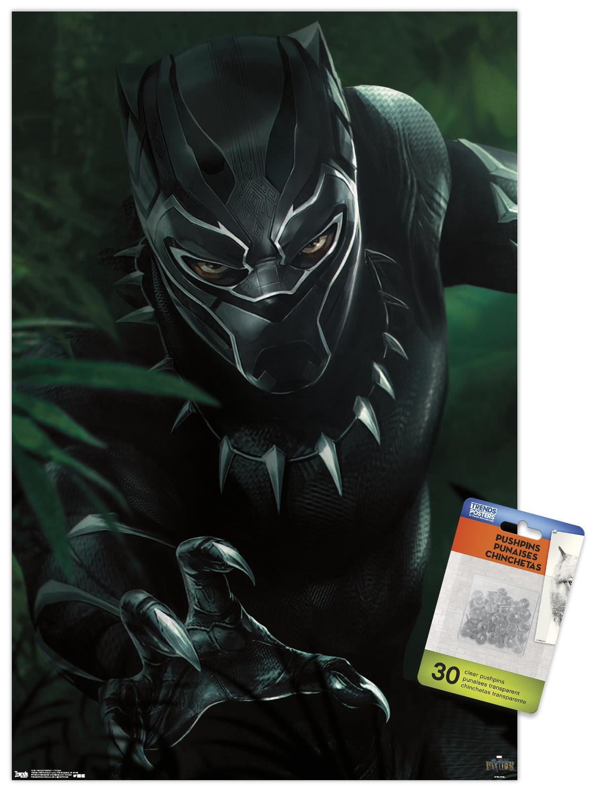 Marvel Cinematic Universe - Black Panther - T'Challa Wall Poster with Push Pins, 14.725" x 22.375"