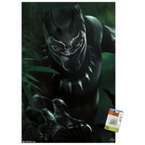 Marvel Cinematic Universe - Black Panther - T'Challa Wall Poster with Push Pins, 22.375" x 34"