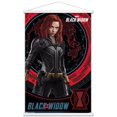 thumbnail image 1 of Marvel Cinematic Universe - Black Widow - Pose Wall Poster with Magnetic Frame, 22.375" x 34", 1 of 5