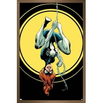 Marvel Comics - Arachne - Silk #2 Wall Poster, 22.375" x 34", Framed
