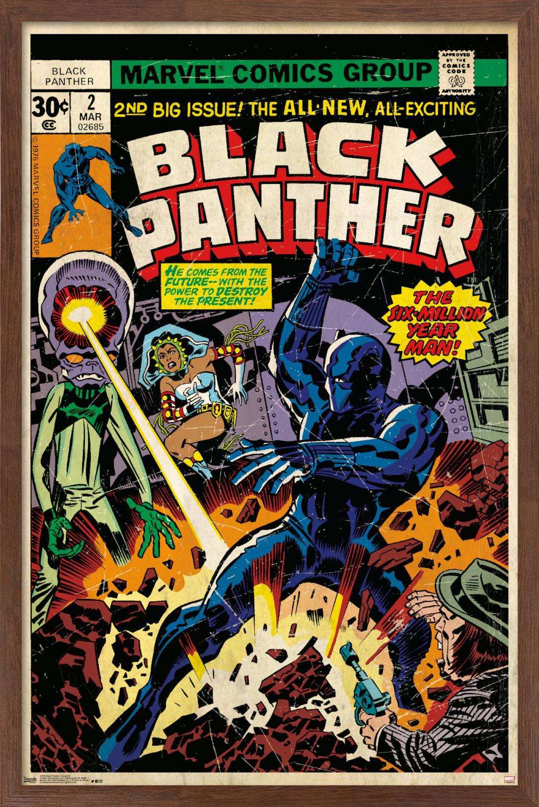 Marvel Comics - Black Panther - Cover #2 Wall Poster, 14.725" x 22.375", Framed