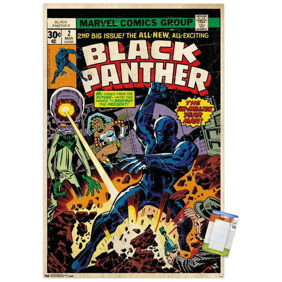 Marvel Comics - Black Panther - Cover #2 Wall Poster, 14.725" x 22.375"