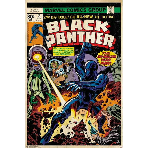 Marvel Comics Black Panther - Cover #2 Wall Poster, 22.375" x 34"
