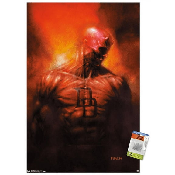 Marvel Comics - DaredeVil - Shadowland: After the Fall Cover #1 Wall Poster with Push Pins, 22.375" x 34"
