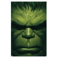 thumbnail image 1 of Marvel Comics - Hulk - The Immortal Hulk #18 Wall Poster, 14.725" x 22.375", Framed, 1 of 3