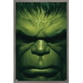 thumbnail image 1 of Marvel Comics - Hulk - The Immortal Hulk #18 Wall Poster, 22.375" x 34", Framed, 1 of 3