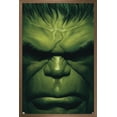 thumbnail image 1 of Marvel Comics - Hulk - The Immortal Hulk #18 Wall Poster, 22.375" x 34", Framed, 1 of 3