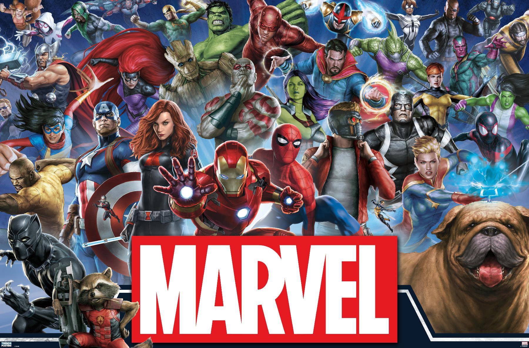 Marvel Universe Poster