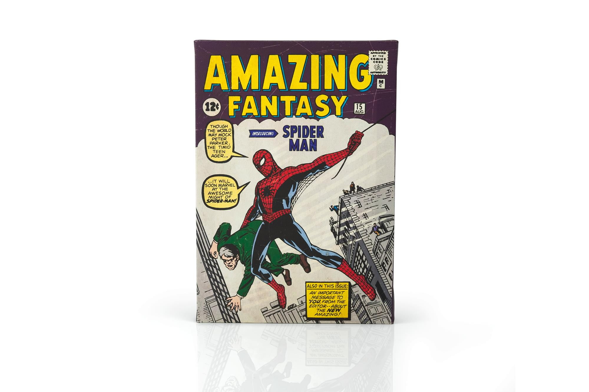 Comic Books You Should Collect: Amazing Fantasy #15