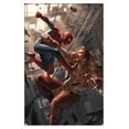 thumbnail image 1 of Marvel Comics - Spider-Man - Battle with Kraven Wall Poster, 14.725" x 22.375", Framed, 1 of 6